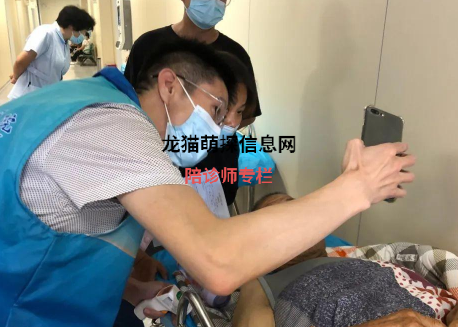 陪診師服務流程